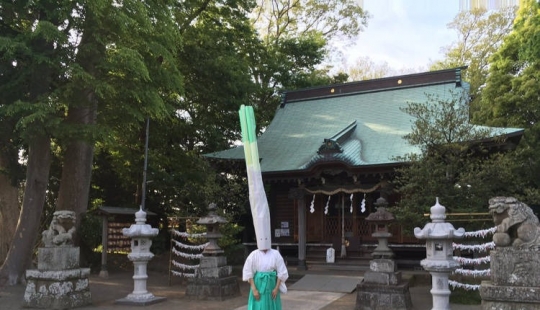 Onion head: an unusual ritual in a Japanese temple surprises and puzzles