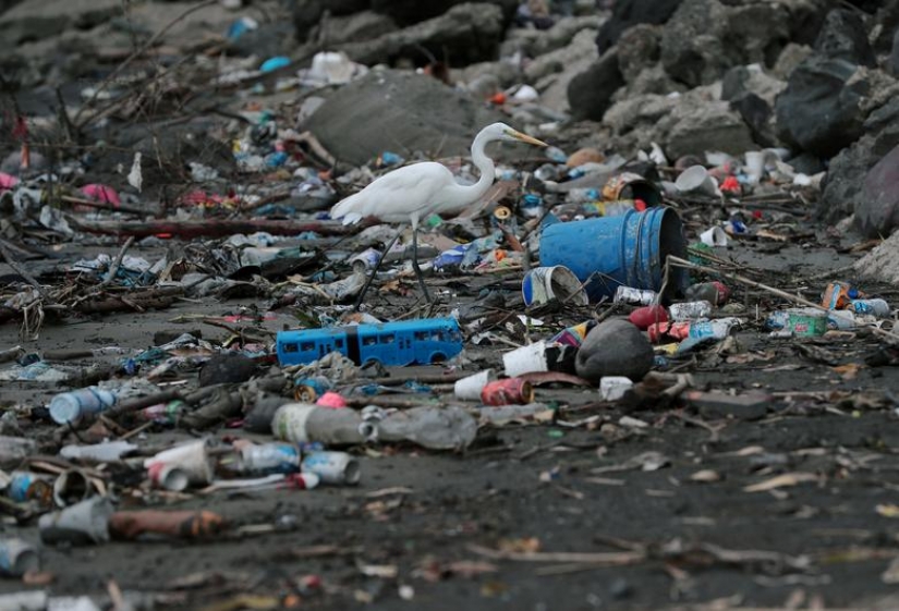 Our ocean of plastic