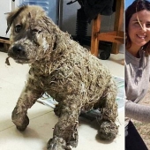 Pascal's incredible transformation