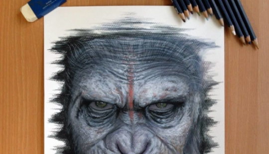 Pencil drawings by Dino Tomic