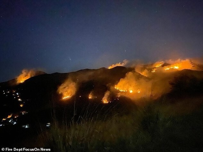 Pensionista brasileño quemó 700 hectáreas de bosque protegido y mató a cientos de animales debido a una estafa de seguros