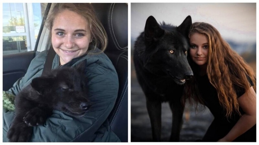 People show how their pets have changed since the first meeting