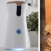 Pervert hacked a smart dog feeder and spied on a woman through her camera