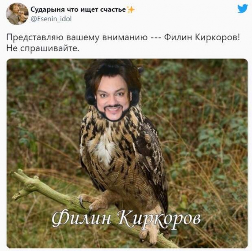 Philip Kirkorov en la imagen de un Pájaro de fuego Ardiente se convierte en un meme
