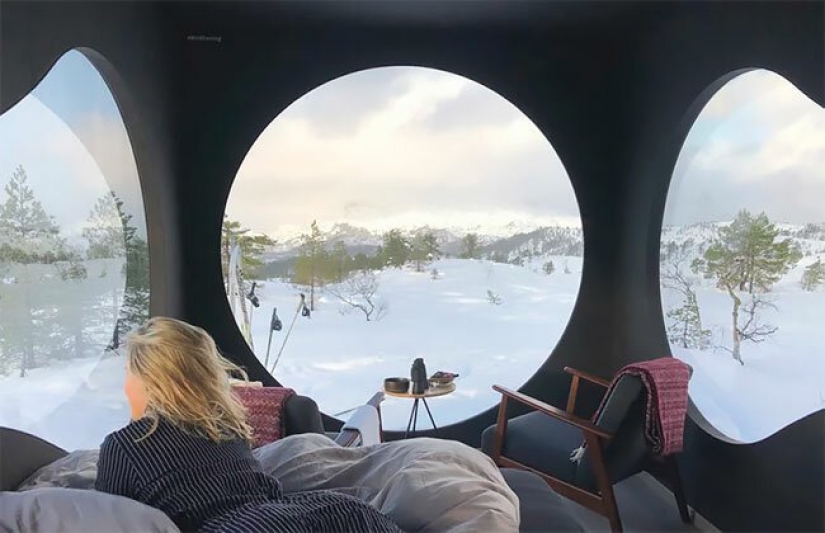 Pájaro cuadros con vistas de los fiordos y montañas de Noruega