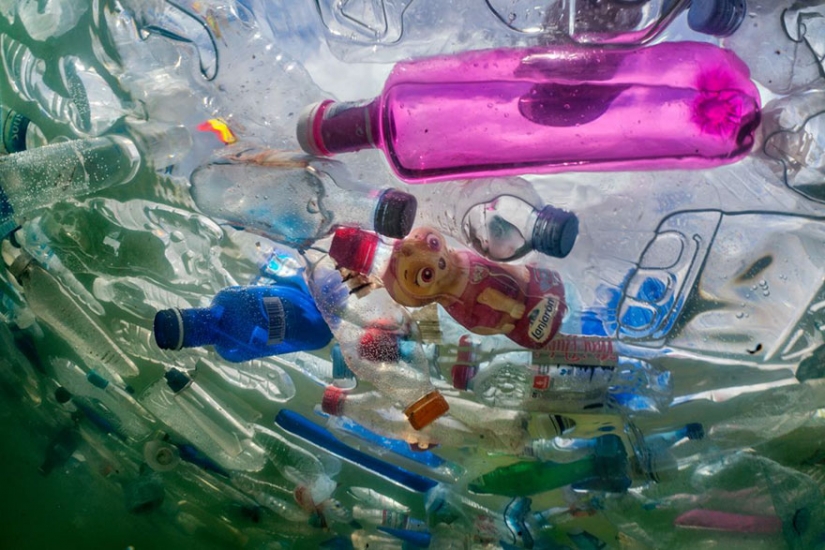 ¿Planeta o plástico? Campaña de National Geographic
