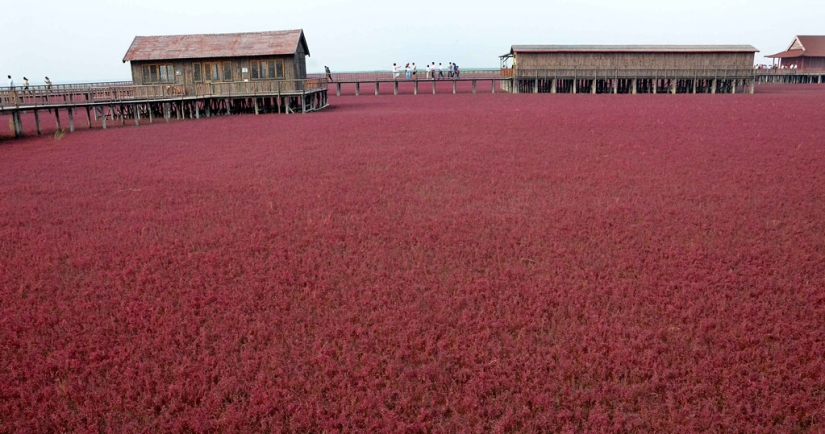 Playa Roja en China