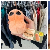Plush pneumococcus and 22 other curiosities that few people have seen