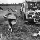 Post-war Britain in the photos Thurston Hopkins