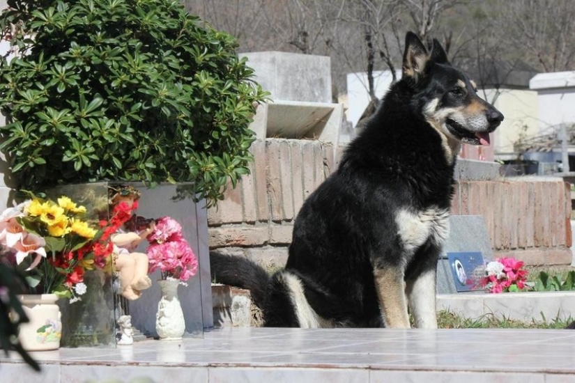 Que Dios me ayude a ser el tipo de persona que mi perro cree que soy