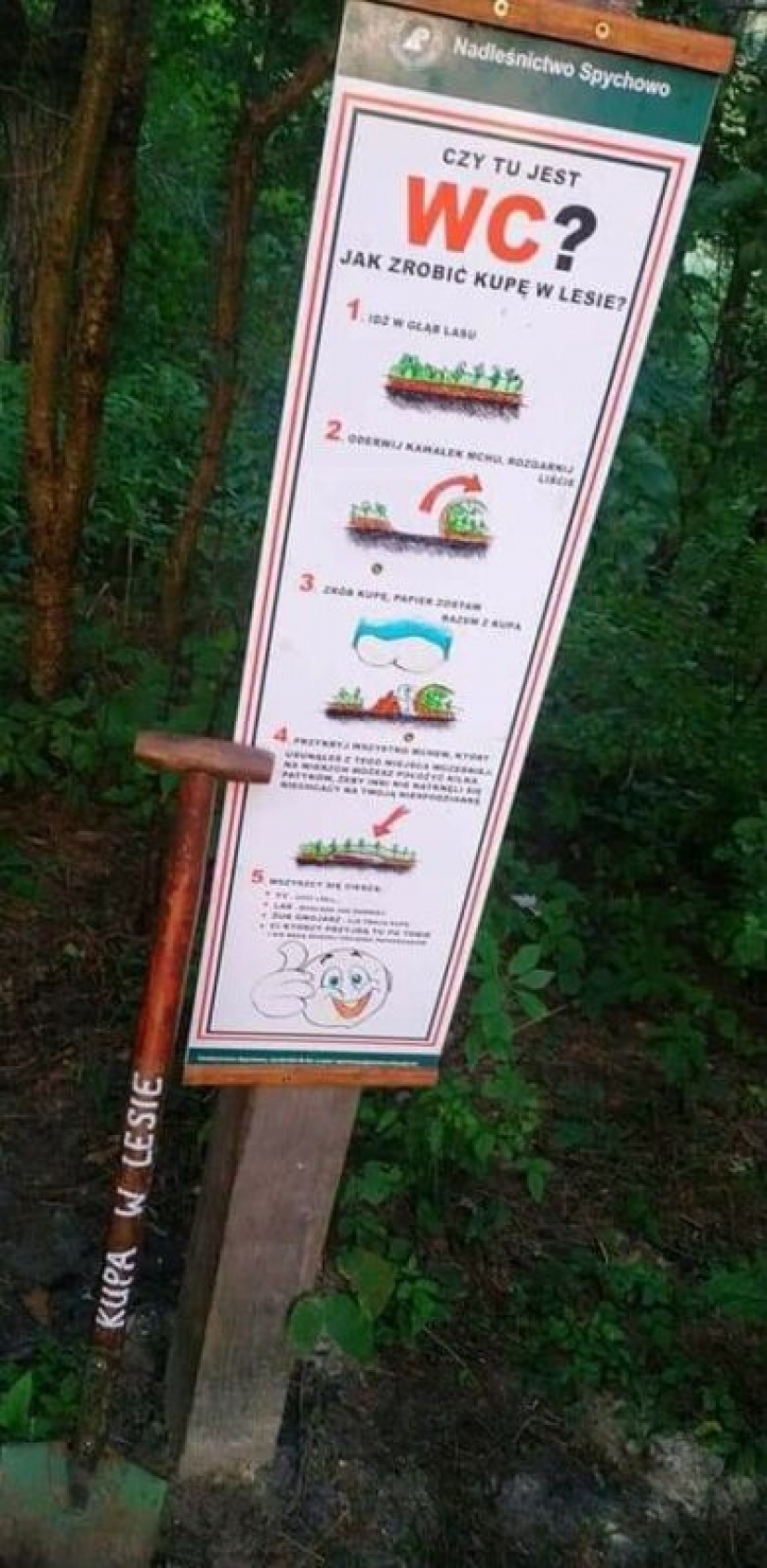 Qué es "papierzaki", o por qué colgaron instrucciones de "inodoro" en los bosques polacos