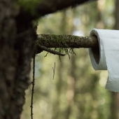 Qué es "papierzaki", o por qué colgaron instrucciones de "inodoro" en los bosques polacos