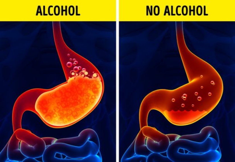 ¿Qué le sucede a su cuerpo cuando no bebe alcohol?