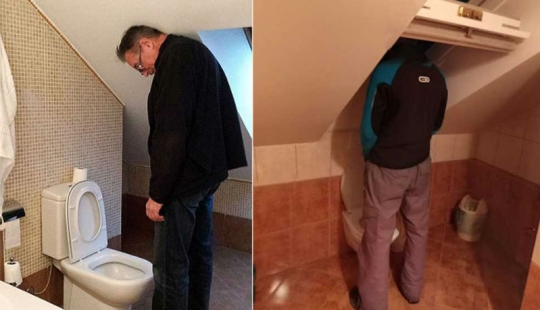 Qué sucede cuando el inodoro en la casa está diseñado por la esposa