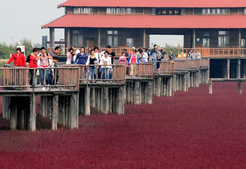 Red Beach in China