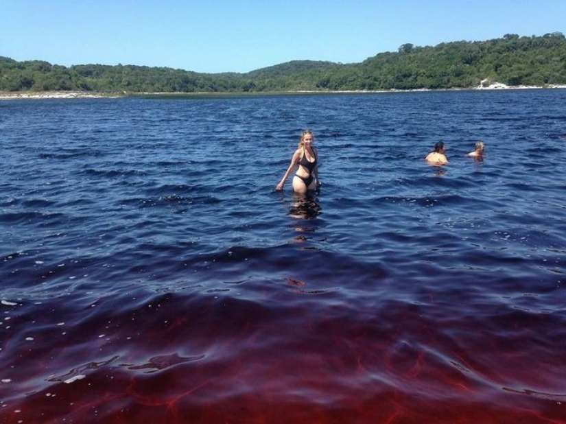 ¡Refréscate! Inusual lago Coca-Cola en Brasil atrae a turistas de todo el mundo