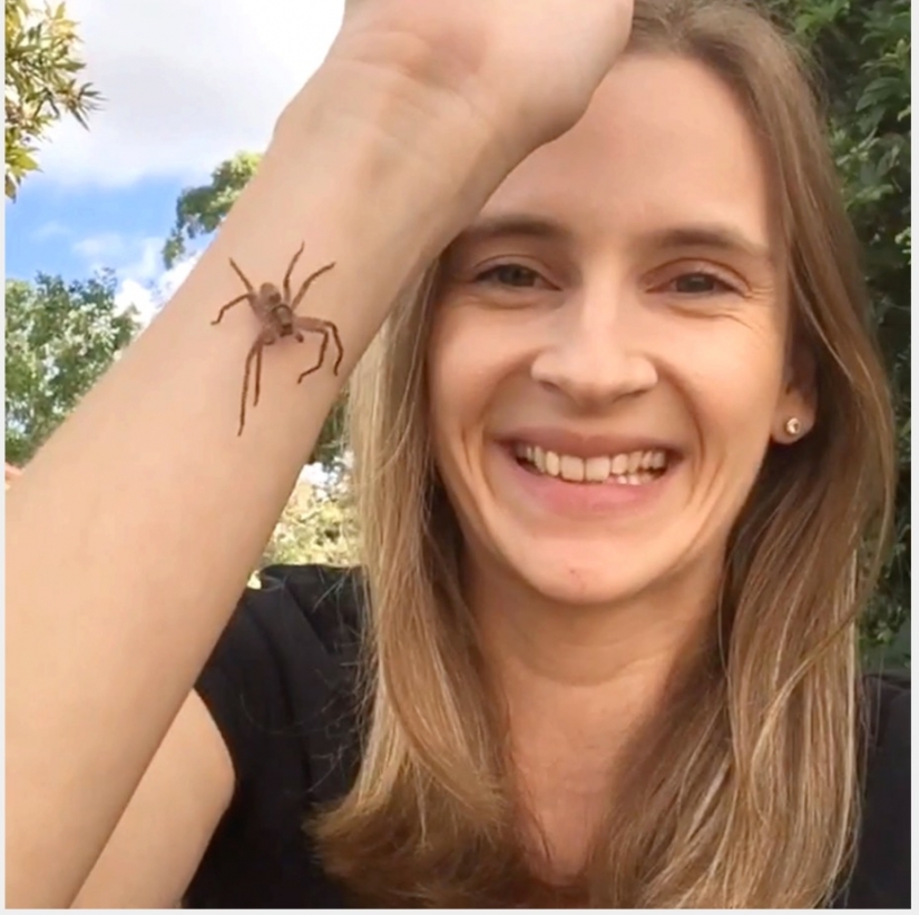 Relax is not for the faint of heart: Australian relieves stress, allowing the spiders to crawl on the face