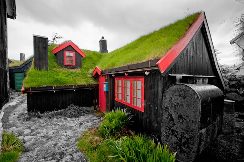 Scandinavian houses with green roofs that look like a fairy tale