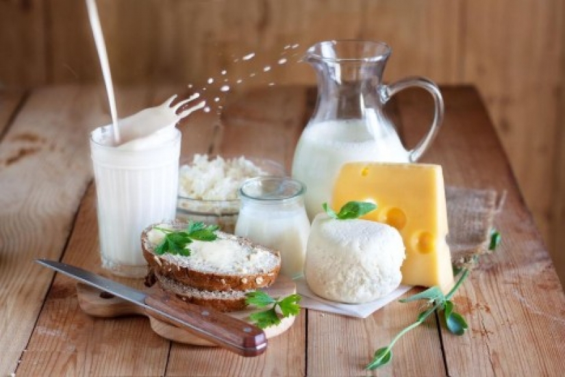 Scientists have determined is dangerous to humans, the dose of dairy products