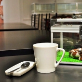 Snake café en Japón - es espeluznante? ¡Todavía qué!