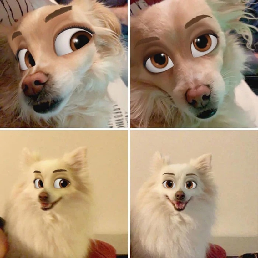 Snapchat ha Añadido un Nuevo Filtro De Cara De Dibujos Animados Que Hace Que Los Perros Se Vean Como Personajes De Disney