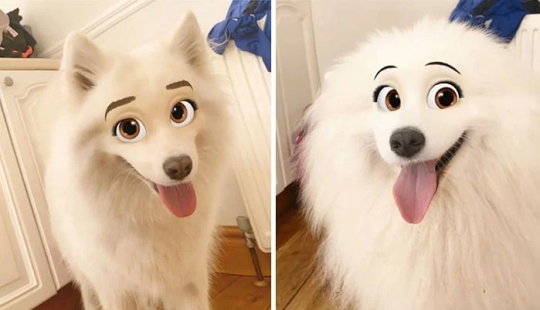 Snapchat ha Añadido un Nuevo Filtro De Cara De Dibujos Animados Que Hace Que Los Perros Se Vean Como Personajes De Disney