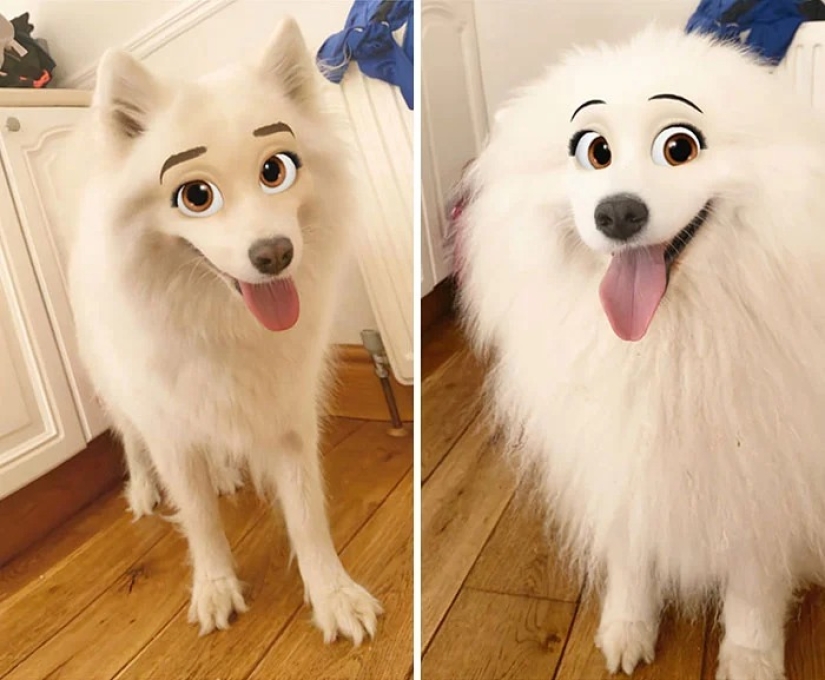 Snapchat has Added a New Cartoon Face Filter That Makes Dogs Look Like Disney Characters
