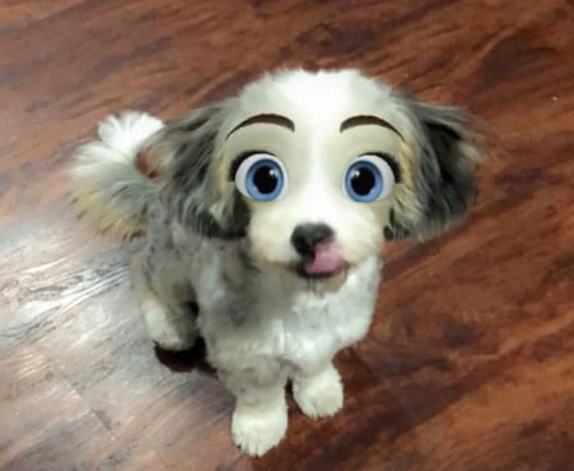 Snapchat has Added a New Cartoon Face Filter That Makes Dogs Look Like Disney Characters