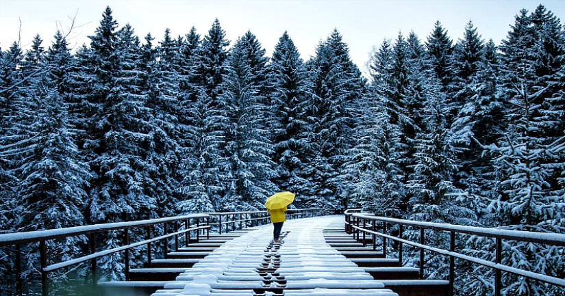 Soothing winter landscapes by a German photographer