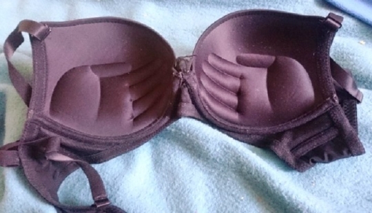 Sorprendentes sorpresas ocultas en el interior de las cosas cotidianas