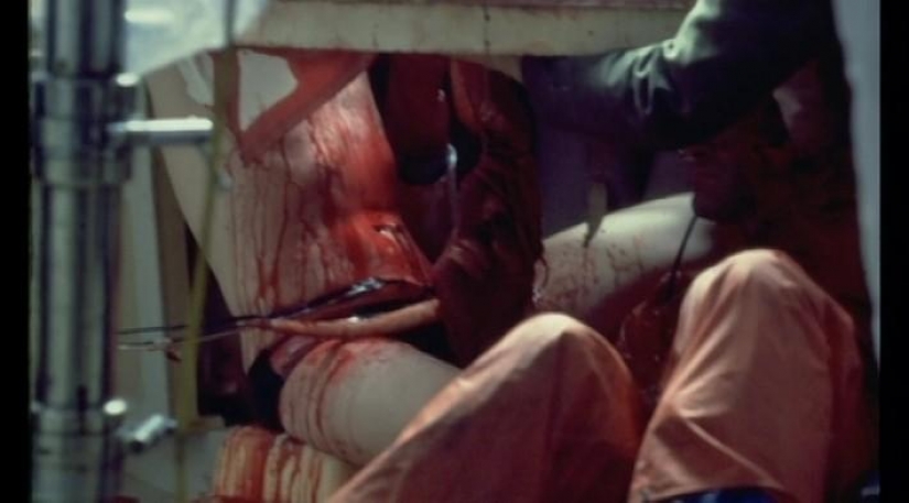 Special effects in cinema: space horror in the movie "Alien"