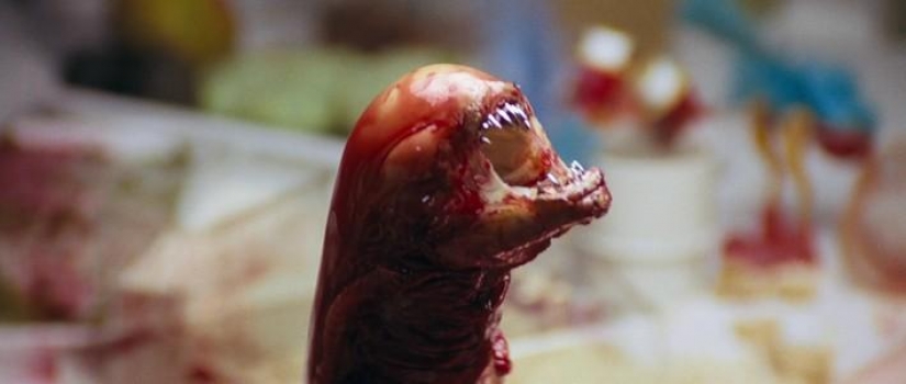 Special effects in cinema: space horror in the movie "Alien"