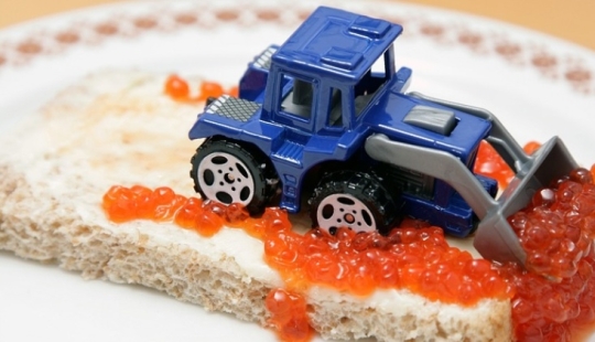 Suppliers warned that red caviar will rise in price by 20-60% Suppliers warned that red caviar will rise in price by 20-60%