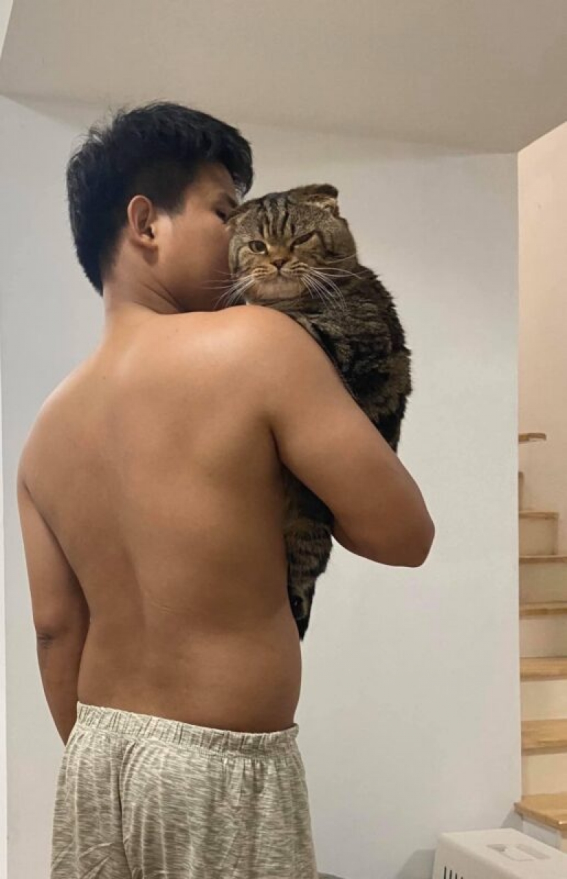 Surprisingly charming cat "stole" from the wife of her husband and she showed it in the photo