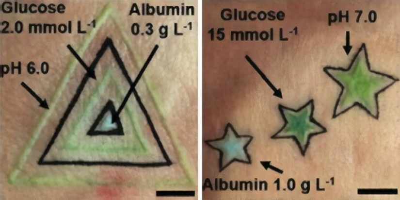 Tattoo on the guard of health: German scientists have created biosensory tattoos
