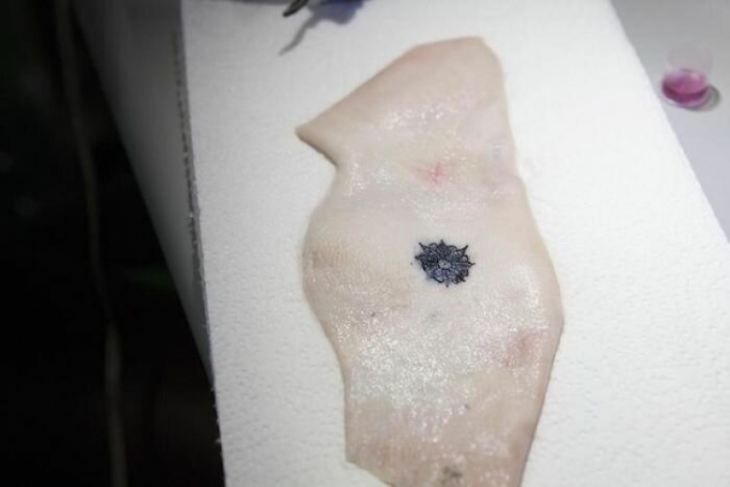 Tattoo on the guard of health: German scientists have created biosensory tattoos