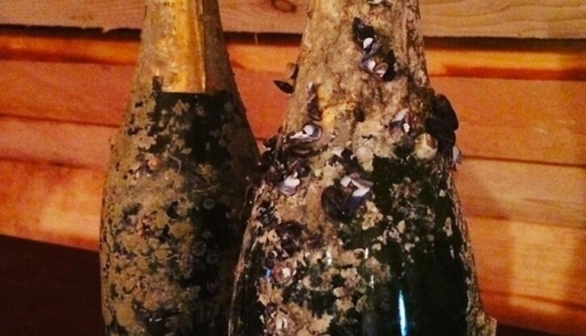 the 10 most expensive bottles of champagne to date