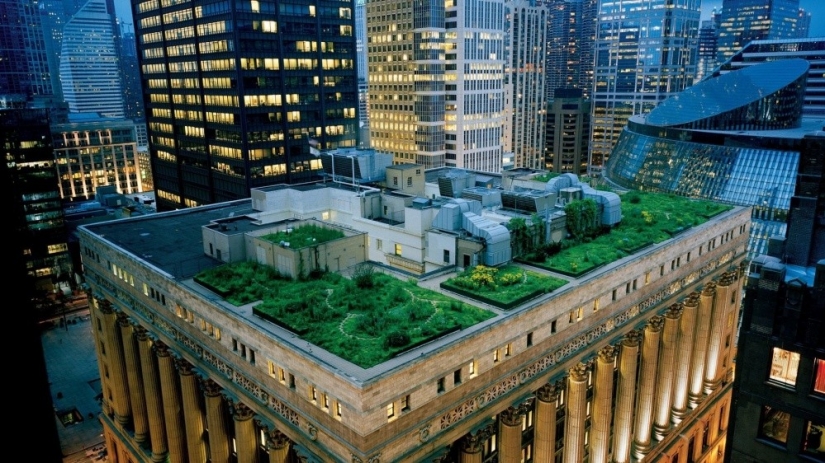 The architects of these houses have proved that the garden can break even on the roof