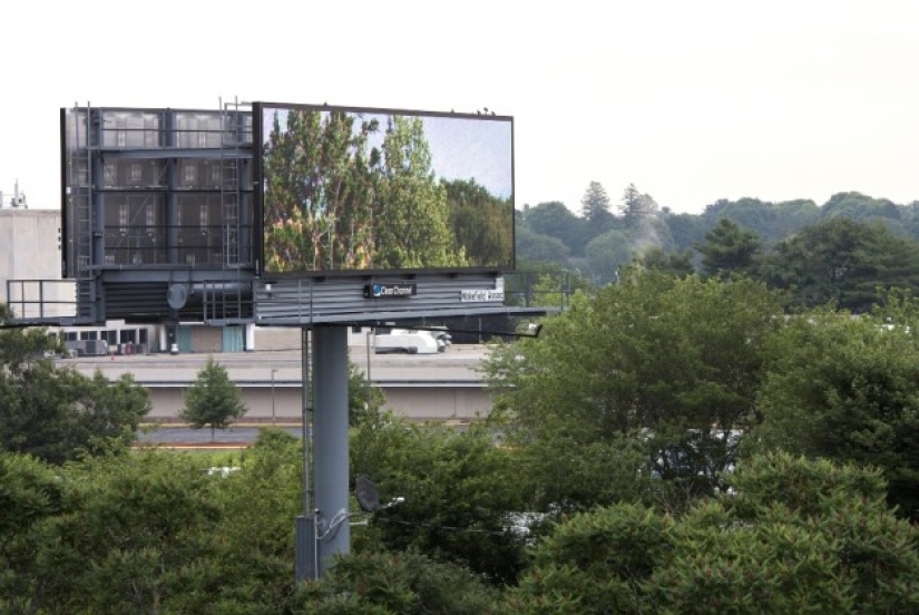 The artist bought a huge billboard to show the beauty of nature