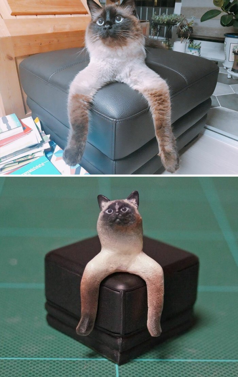 The artist creates figures of animals on the funny Internet meme