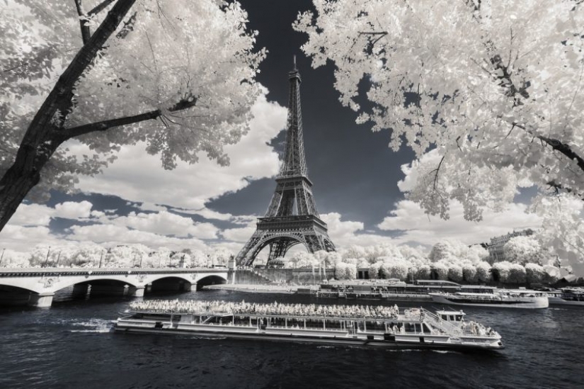 The best works of infrared photography contest Life in Another Light