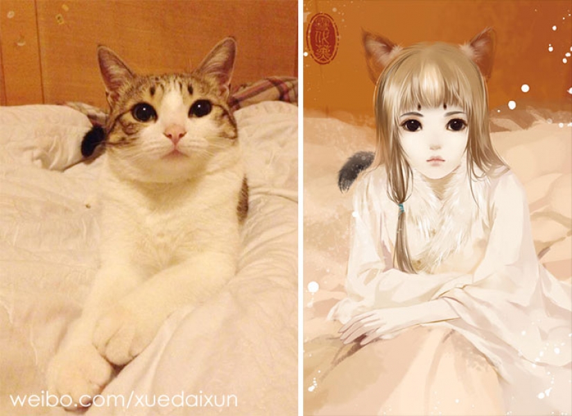 The Chinese artist turns cats and other animals in people, and it's incredibly