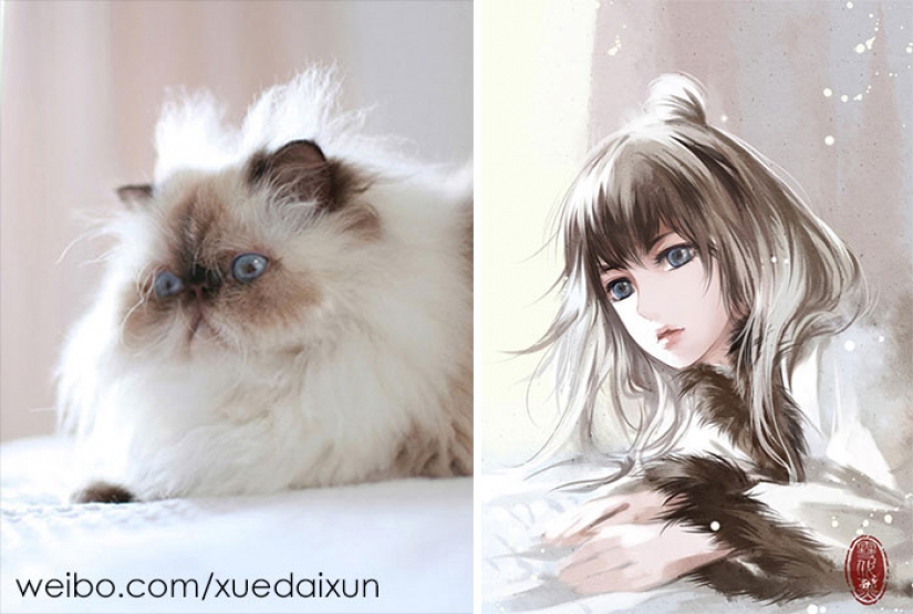 The Chinese artist turns cats and other animals in people, and it's incredibly