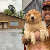 The dog that saved the family during the tornado, returned home after two months