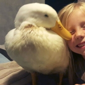 The duck considers a 5-year-old girl to be his mother