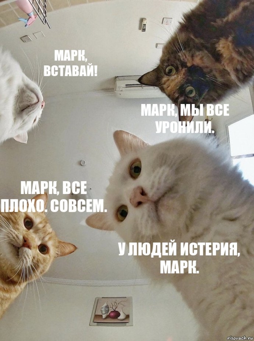 The failure of Facebook turned out to be in the hands of Pavel Durov and gave rise to new memes