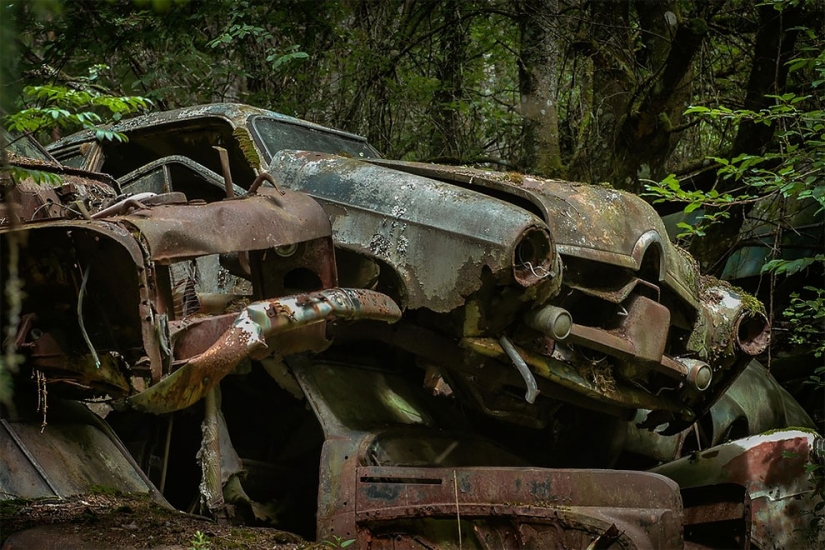 The German spent ten years searching all over Europe for cemeteries of old cars - from tractors to Mercedes