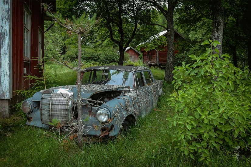 The German spent ten years searching all over Europe for cemeteries of old cars - from tractors to Mercedes