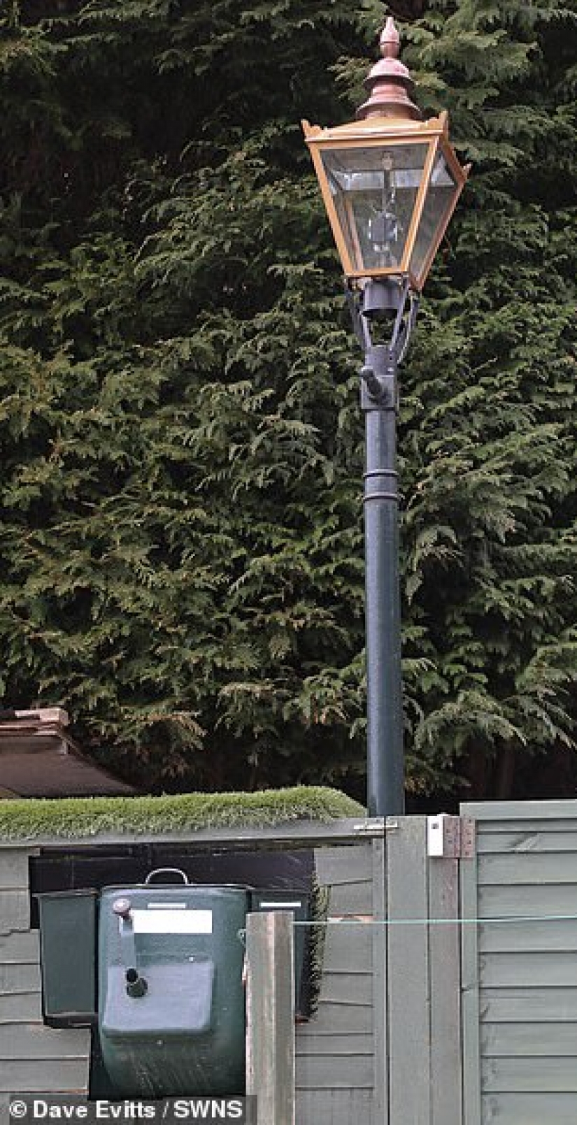 The inventor from the UK has created a street lamp that runs on dog Poo