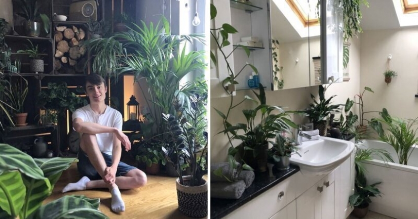 The jungle is calling: how to live in an apartment full of houseplants